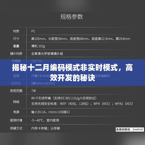 揭秘十二月编码模式非实时高效开发秘诀