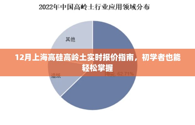 12月上海高硅高岭土实时报价指南，初学者快速入门