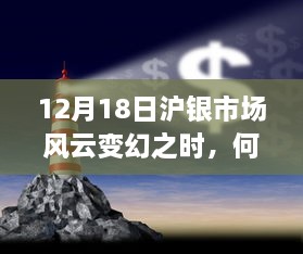 12月沪银市场风云下的自然之旅，寻求内心平静之道