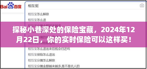 探秘小巷深处的保险宝藏，2024年实时购买指南！