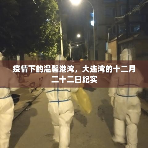 疫情下的温馨港湾，大连湾十二月二十二日纪实