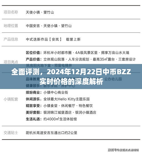 深度解析，2024年12月22日中币BZZ实时价格全面评测