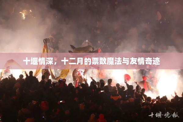 十堰情深，十二月的友情魔法与奇迹投票日