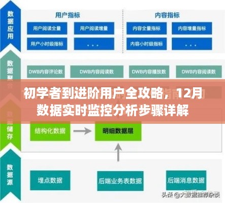 初学者到进阶用户全攻略，12月数据实时监控分析步骤详解指南