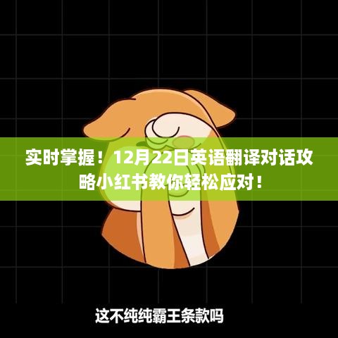 小红书教你轻松应对英语翻译对话攻略，实时掌握，12月22日必备技能！