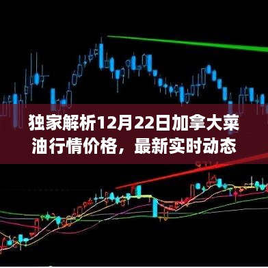 独家解析，加拿大菜油行情价格最新实时动态与市场走势洞悉