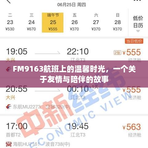 FM9163航班上的友情与陪伴之旅，温馨时光的故事