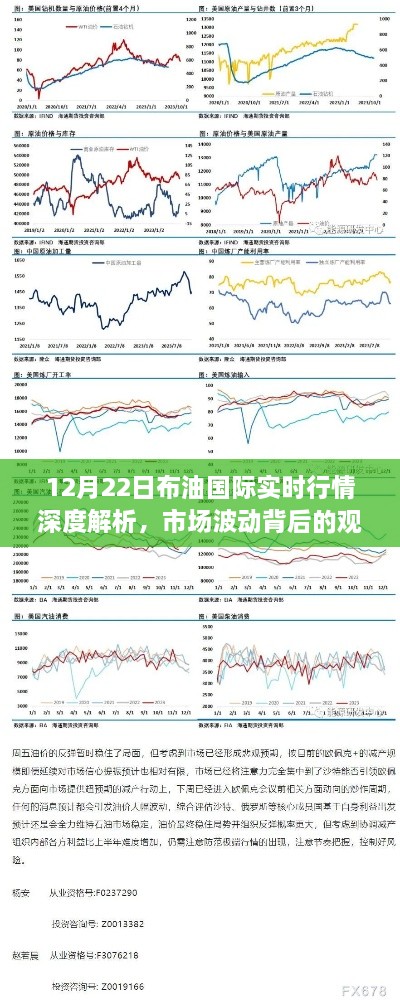 布油国际实时行情深度解析，市场波动背后的观点碰撞与探讨