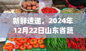 山东省蔬菜实时价格概览，新鲜速递，速递未来日期2024年12月22日动态更新