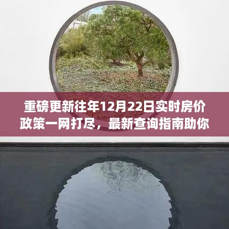 重磅更新，历年12月22日实时房价政策详解与最新查询指南，洞悉市场趋势！