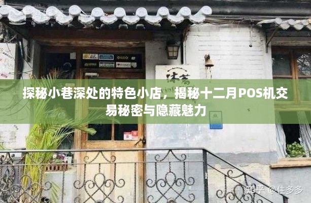 探秘小巷深处的特色小店，十二月POS机交易背后的秘密与魅力揭晓