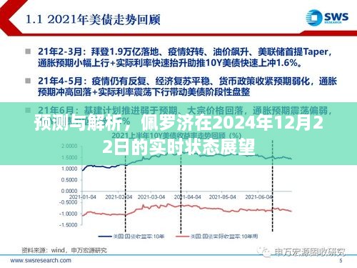 佩罗济2024年12月22日实时状态展望及预测解析