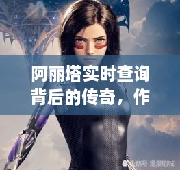 阿丽塔实时查询背后的传奇，作者与十二月二十二日的深刻印记