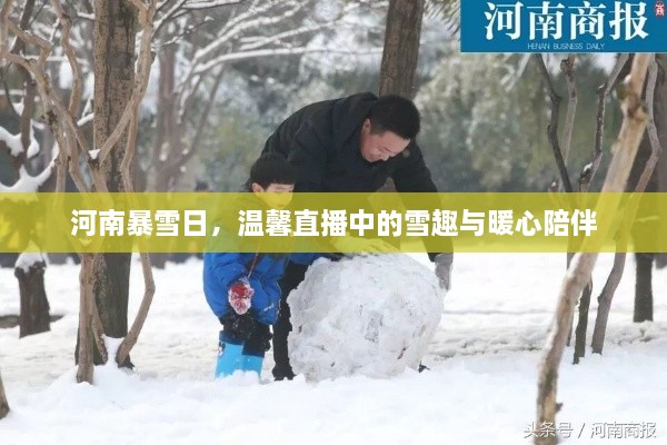 河南暴雪日，直播展现雪趣与暖心陪伴