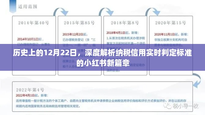 小红书新篇章，深度解析纳税信用实时判定标准的历史沿革与影响