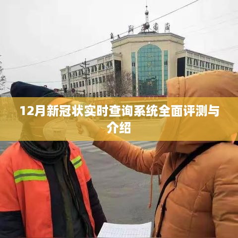 12月新冠状病毒实时查询系统全面评测与详解