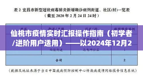 仙桃市疫情实时汇报操作指南（附初学者与进阶用户适用指南）——以2024年12月22日为例