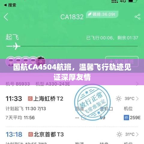 国航CA4504航班，见证深厚友情的温馨飞行之旅