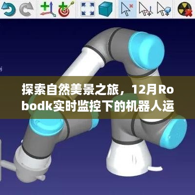 2024年12月24日 第6页