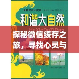 探秘微信缓存背后的心灵与自然和谐共生秘境之旅