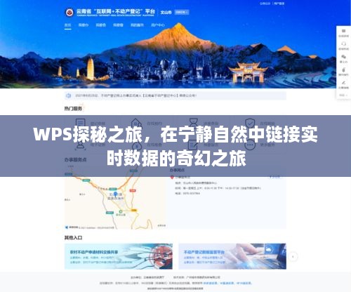 WPS探秘之旅，自然宁静中的实时数据奇幻之旅