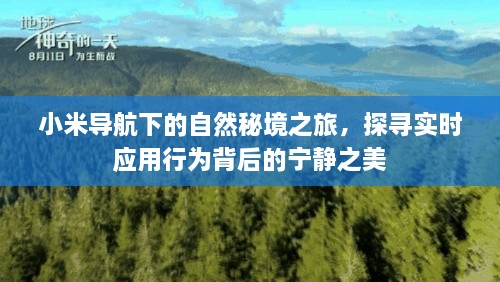 小米导航引领自然秘境之旅，探寻应用背后的宁静之美