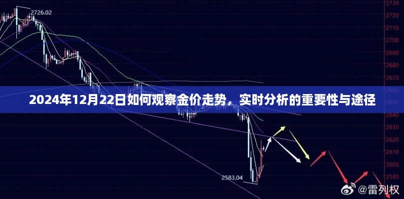 实时分析黄金走势，掌握金价动态的关键途径与重要性（2024年12月22日观察指南）