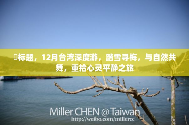 台湾深度游，踏雪寻梅之旅，与自然共舞重拾心灵平静之时，希望符合您的要求，您也可酌情调整。