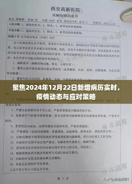 2024年12月22日新增病历实时分析，疫情动态及应对策略探讨