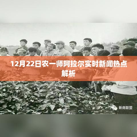 农一师阿拉尔实时新闻热点解析（12月22日）