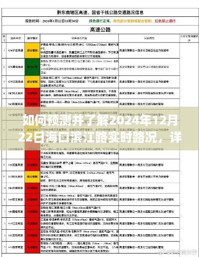 海口滨江路实时路况预测与了解，2024年12月22日详细步骤指南