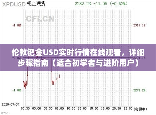 伦敦钯金USD实时行情在线观看指南，初学者与进阶用户适用