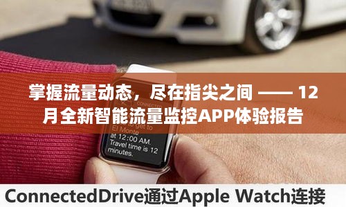 智能流量监控APP体验报告，掌握流量动态，指尖尽在掌控