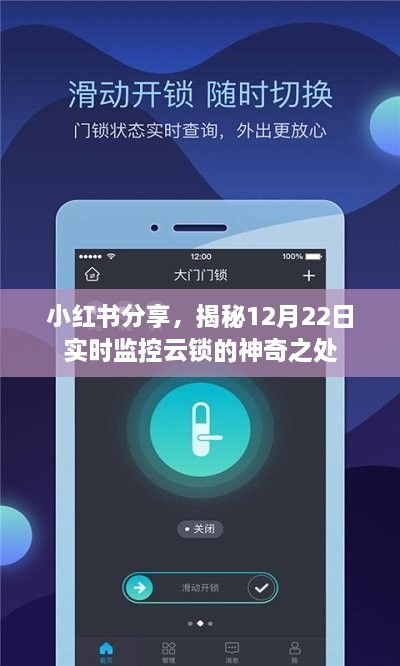 小红书分享，揭秘实时监控云锁的神奇魅力，12月22日独家揭秘