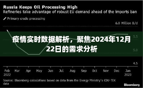 疫情实时数据解析，聚焦未来日期需求分析报告（2024年12月22日）