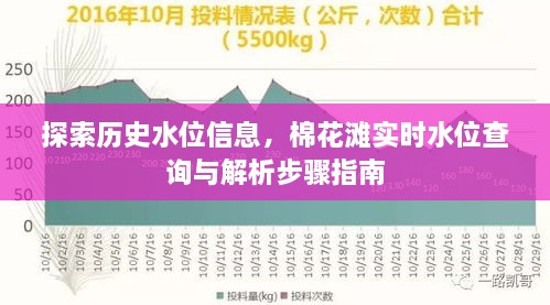 历史水位信息探索及棉花滩实时水位查询解析步骤指南