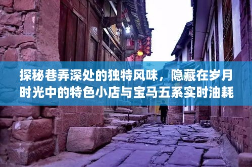 岁月深处的独特风味与宝马五系油耗揭秘，巷弄特色小店探秘之旅