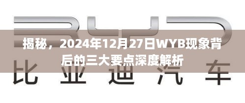 揭秘WYB现象背后的三大要点深度解析，三大要点深度解读于2024年12月27日揭晓