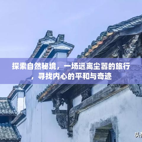 探寻自然秘境，心灵之旅，追寻平和与奇迹的足迹