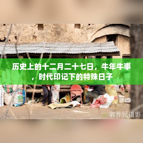 牛年特殊日，十二月二十七的历史印记与时代牛事