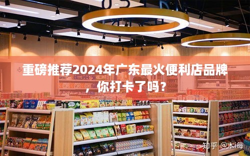 重磅推荐，广东最火便利店品牌，你打卡了吗？（2024年）