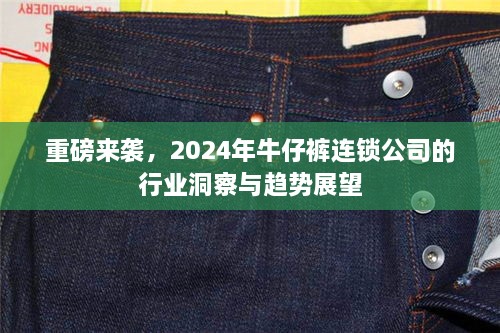 2024年牛仔裤连锁行业洞察与趋势展望，重磅揭秘未来发展动向