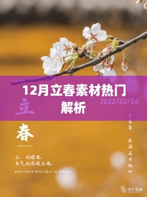 12月立春素材热门解析，节气背后的文化与现象解读