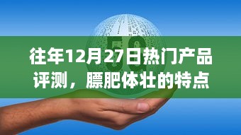 往年12月27日热门产品评测，膘肥体壮的产品特点与体验分享