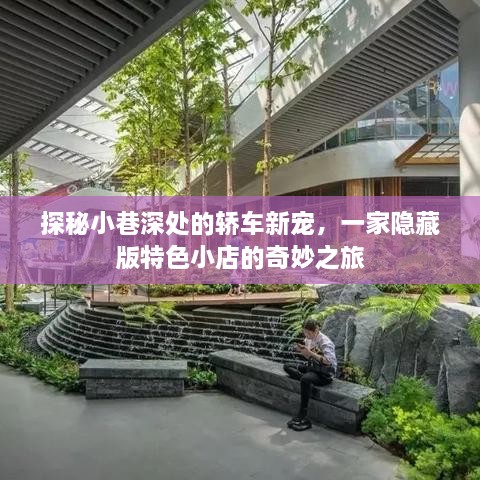 探秘小巷深处的轿车新宠，隐藏版特色小店的惊喜之旅