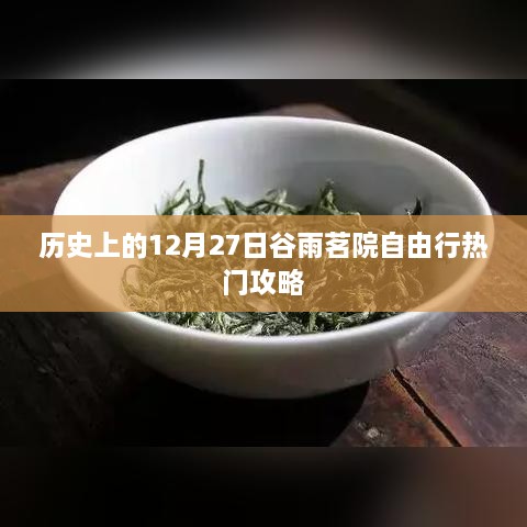 谷雨茗院自由行，12月27日热门攻略揭秘