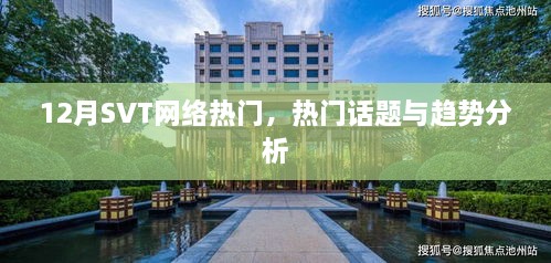 12月SVT网络热门话题与趋势深度解析