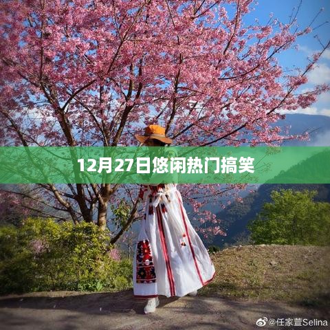 12月27日搞笑悠闲时刻