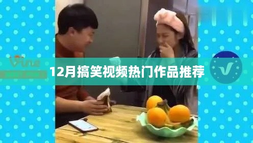 12月爆笑视频大赏，热门作品一网打尽