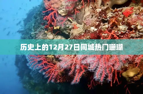 珊瑚，历史上的十二月二十七日同城热门事件回顾